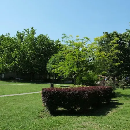 Arany Sziget Apartment